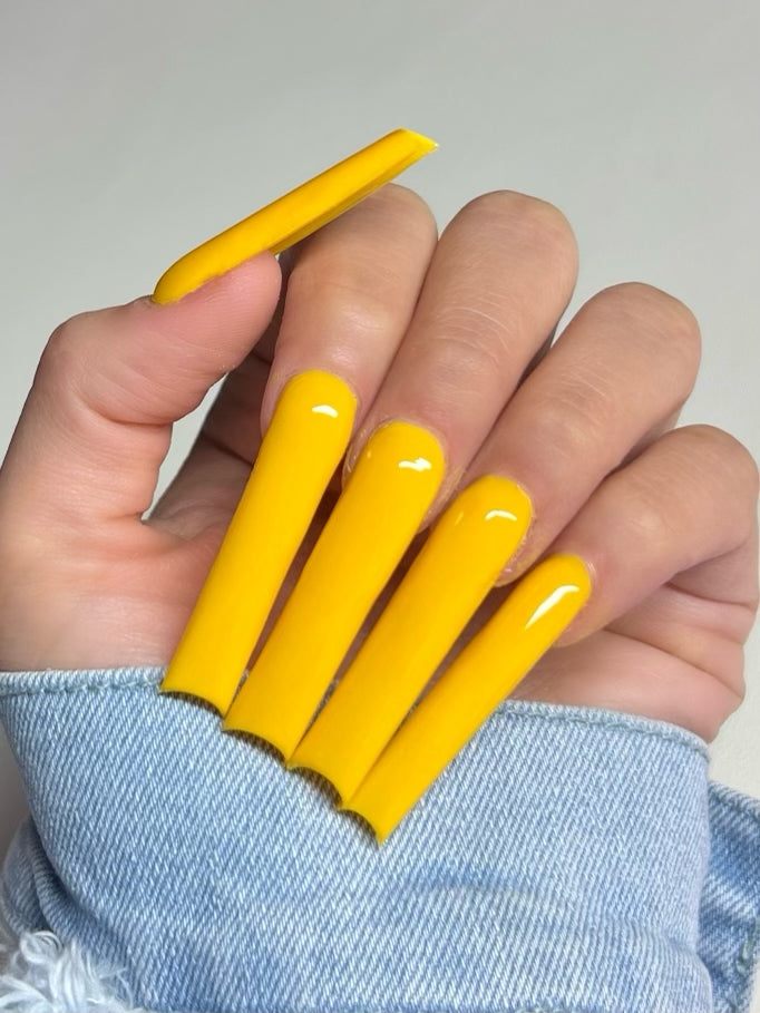 Color Me Pretty Collection